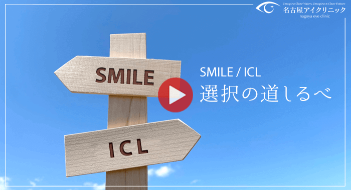 選択の道しるべ